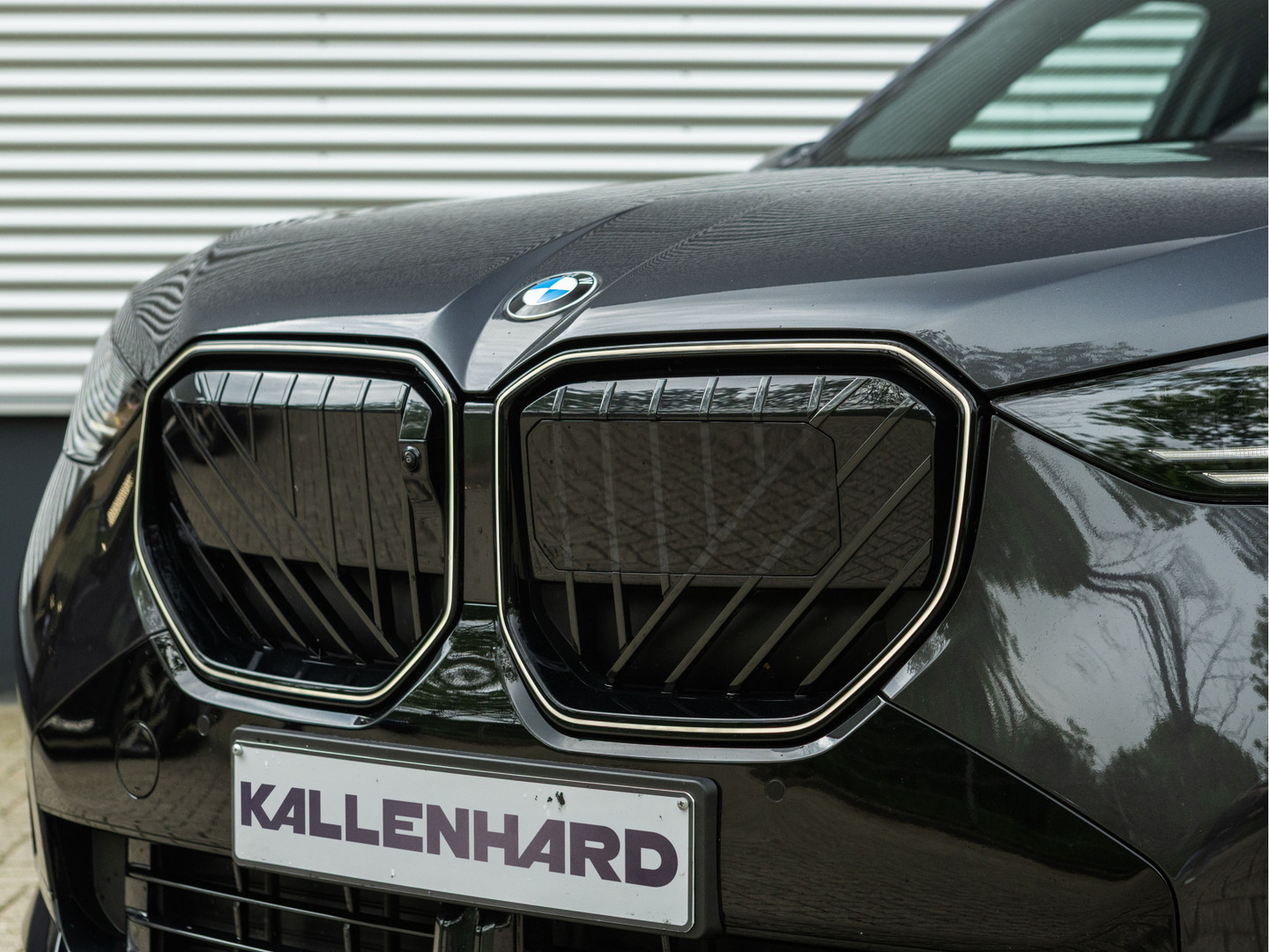 BMW BMW
