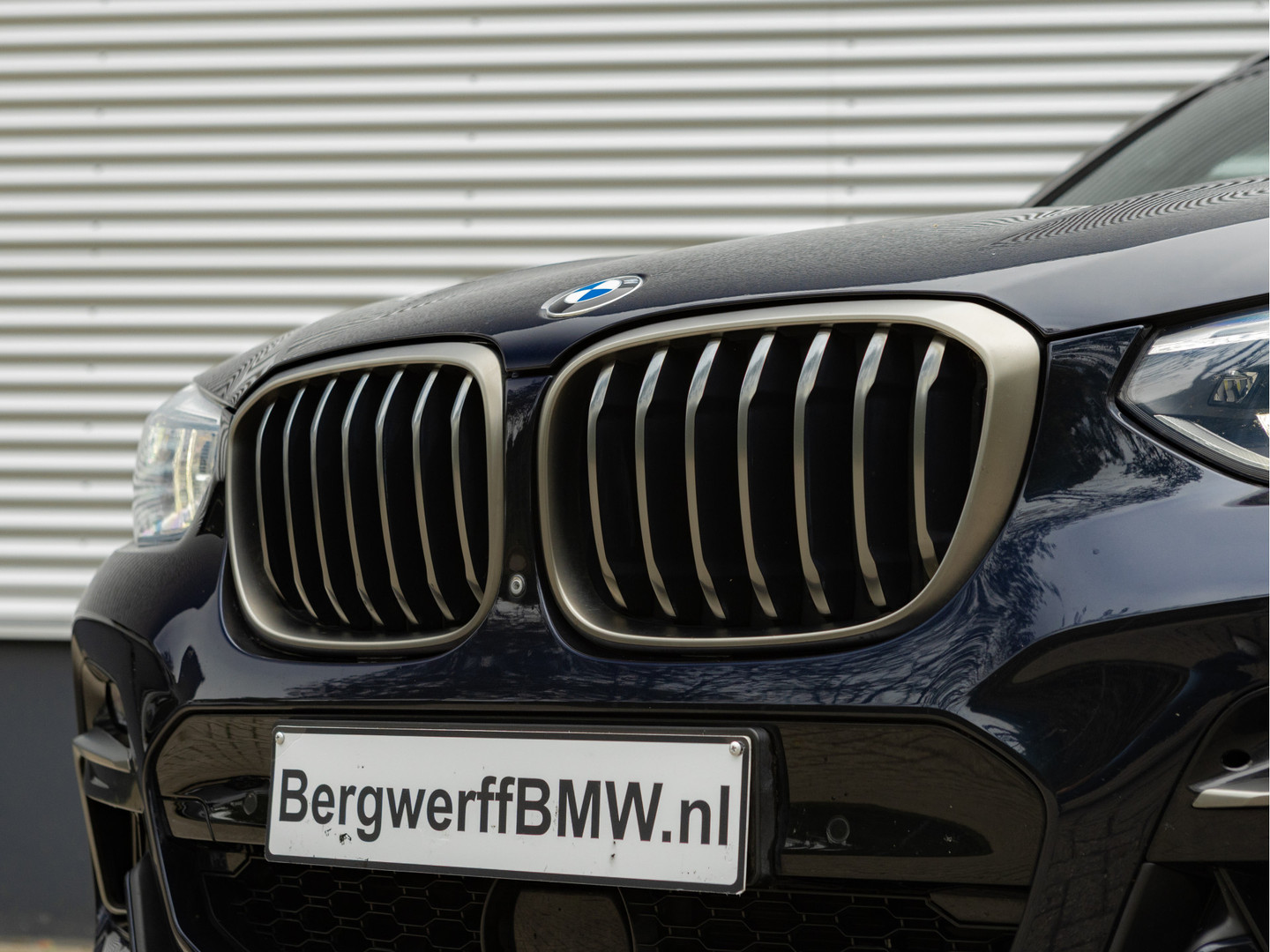 BMW BMW