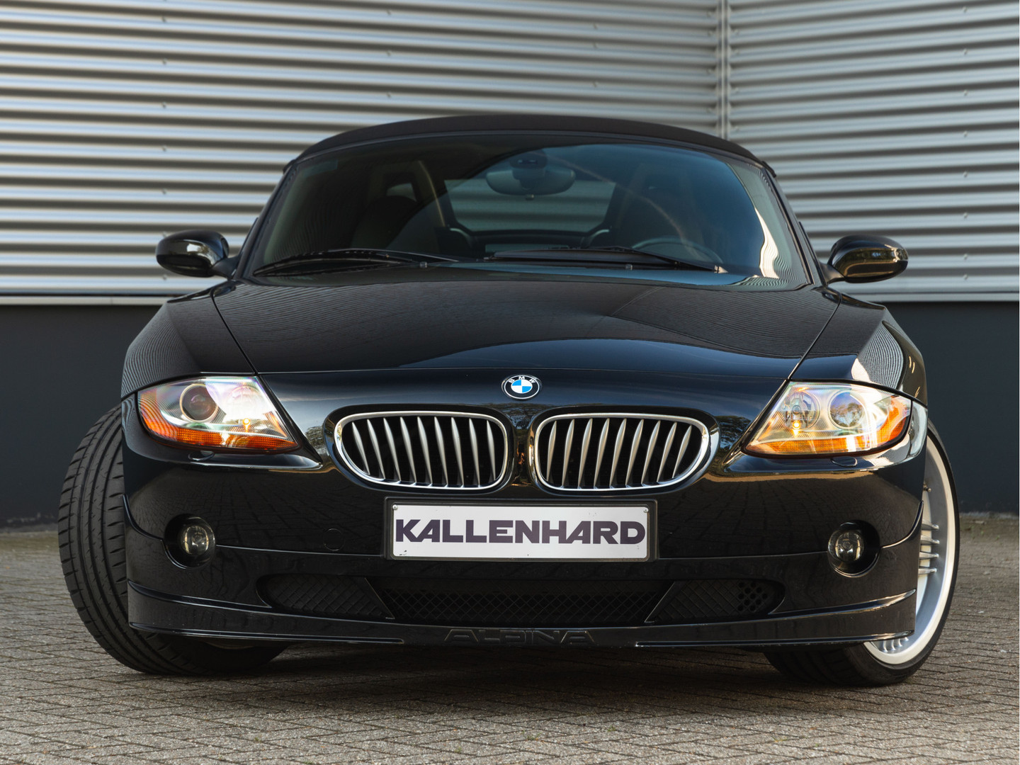 ALPINA