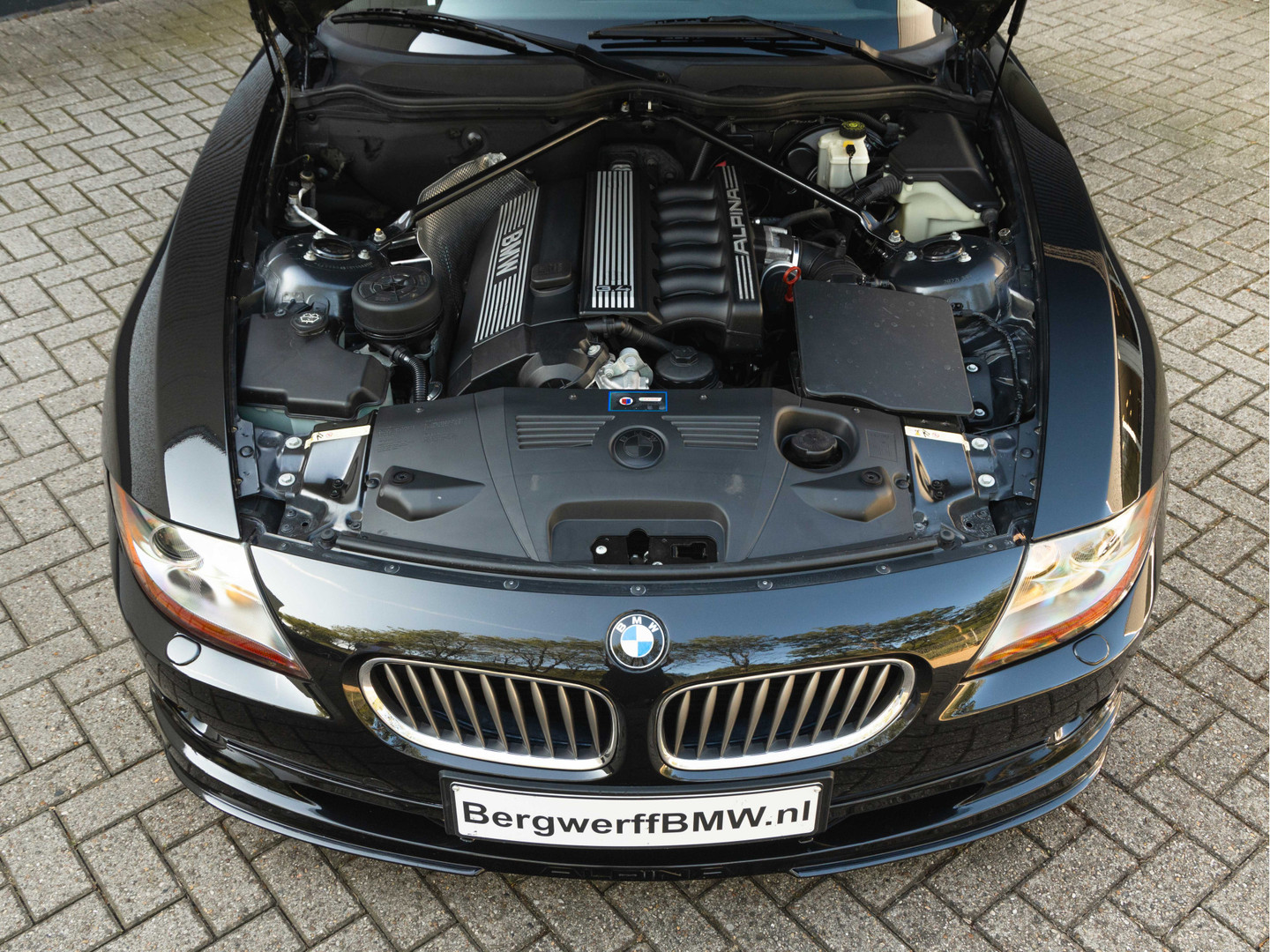 ALPINA ALPINA