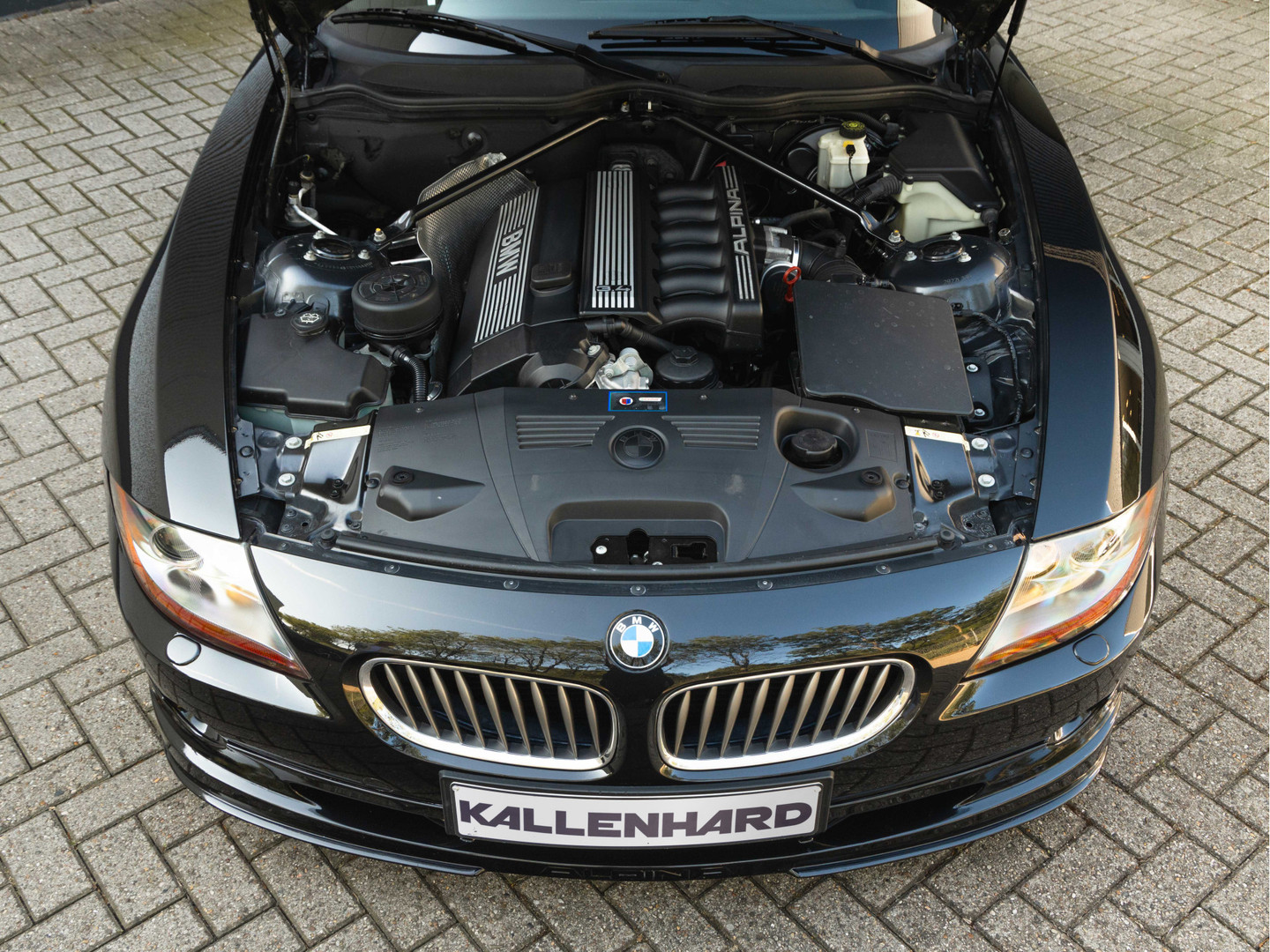 ALPINA