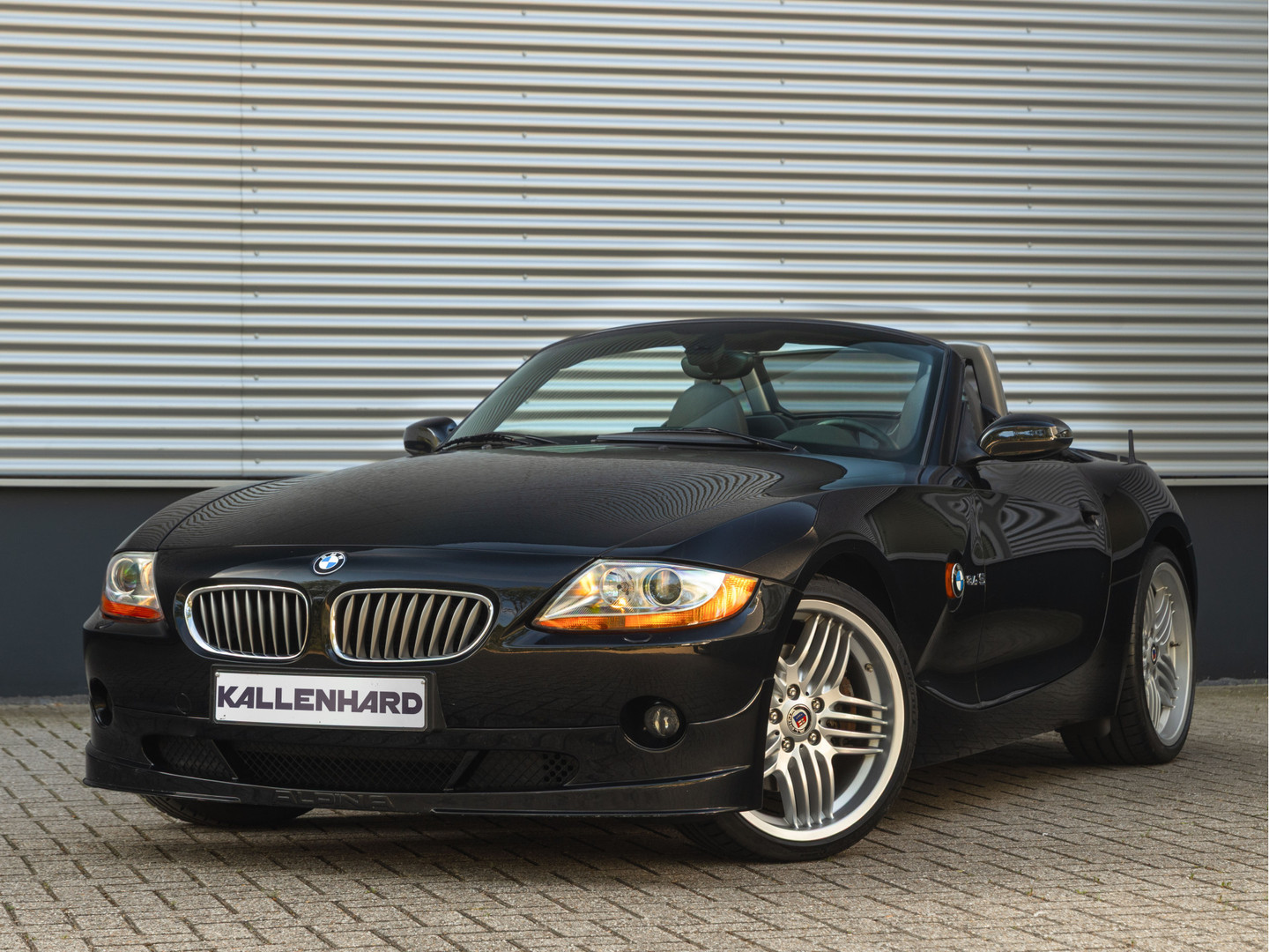 ALPINA