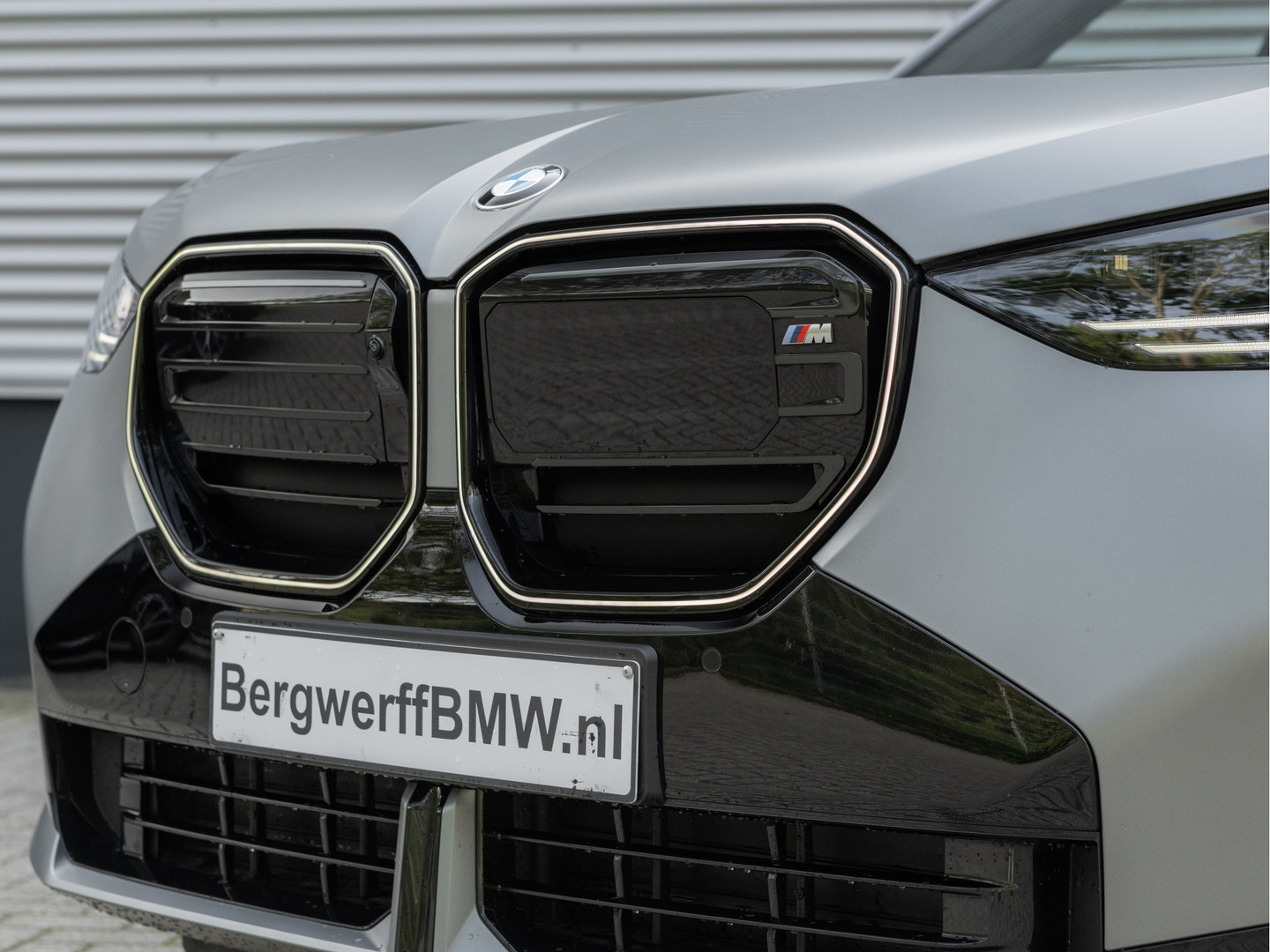 BMW BMW