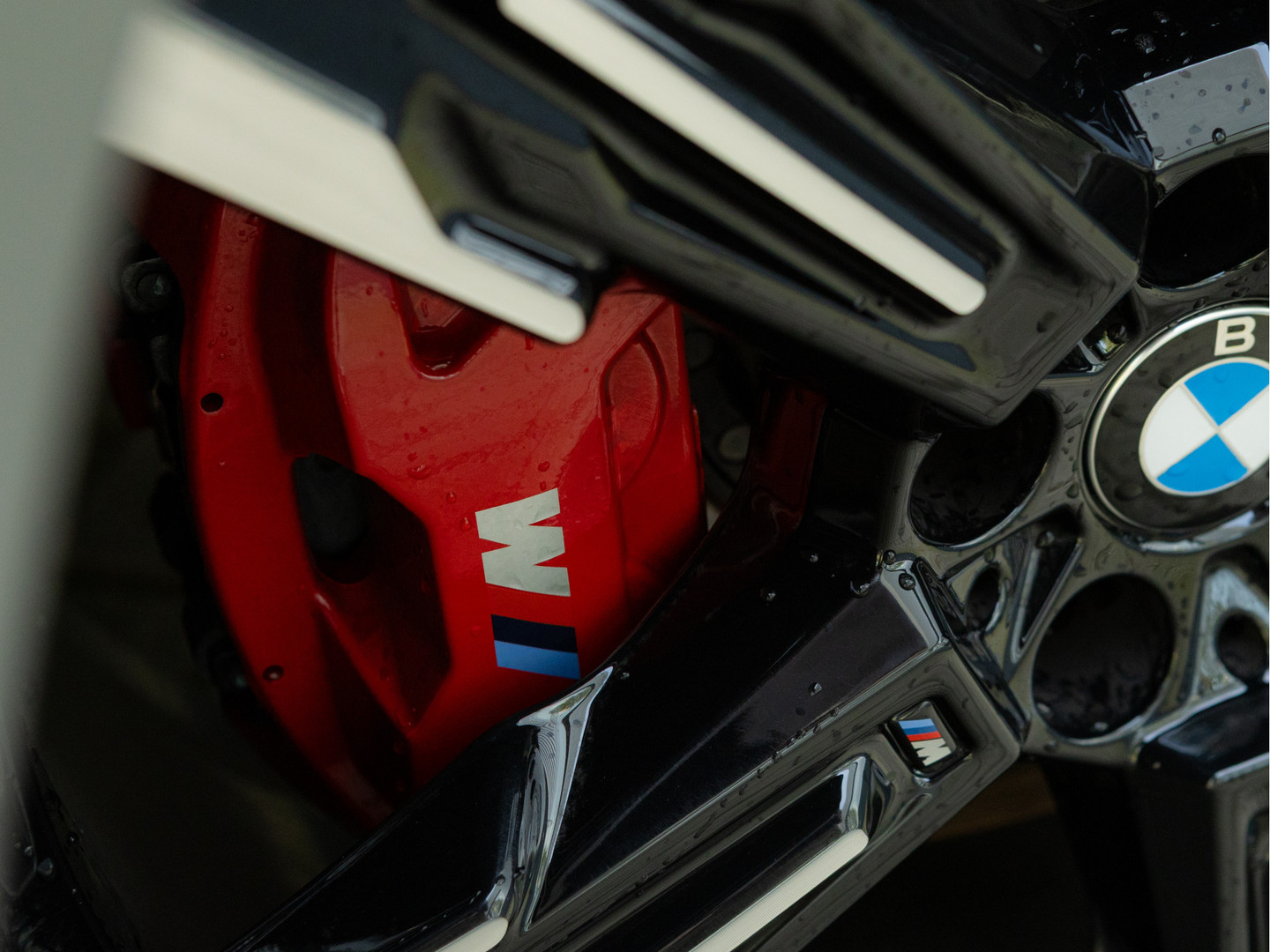 BMW BMW