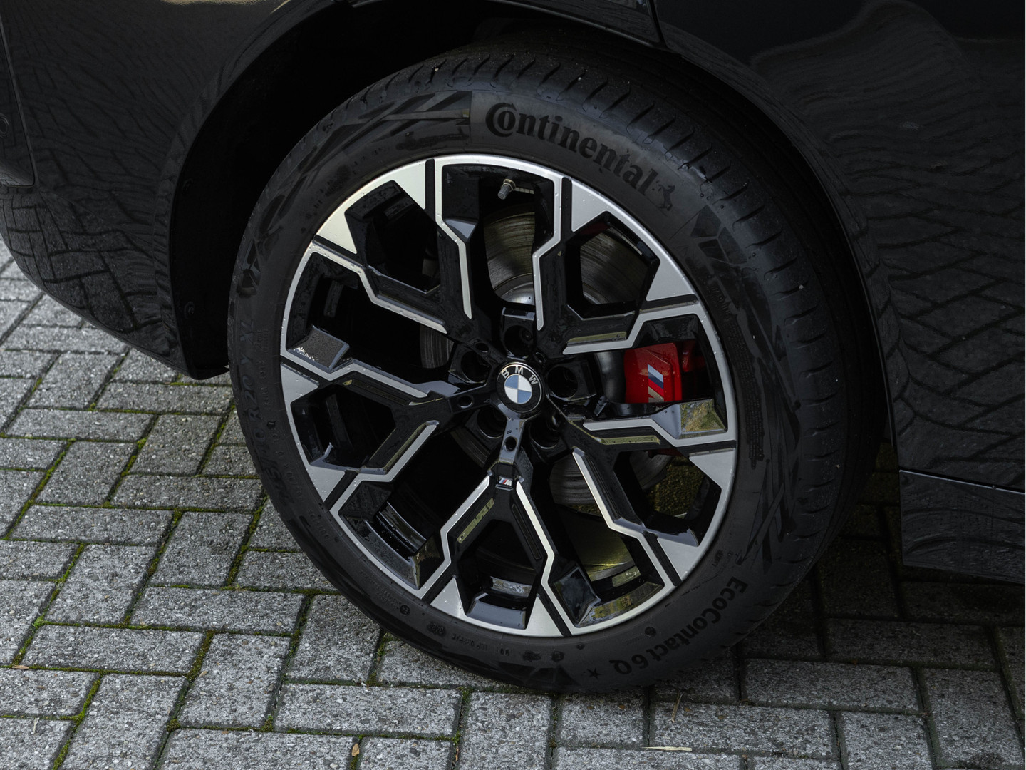 BMW BMW
