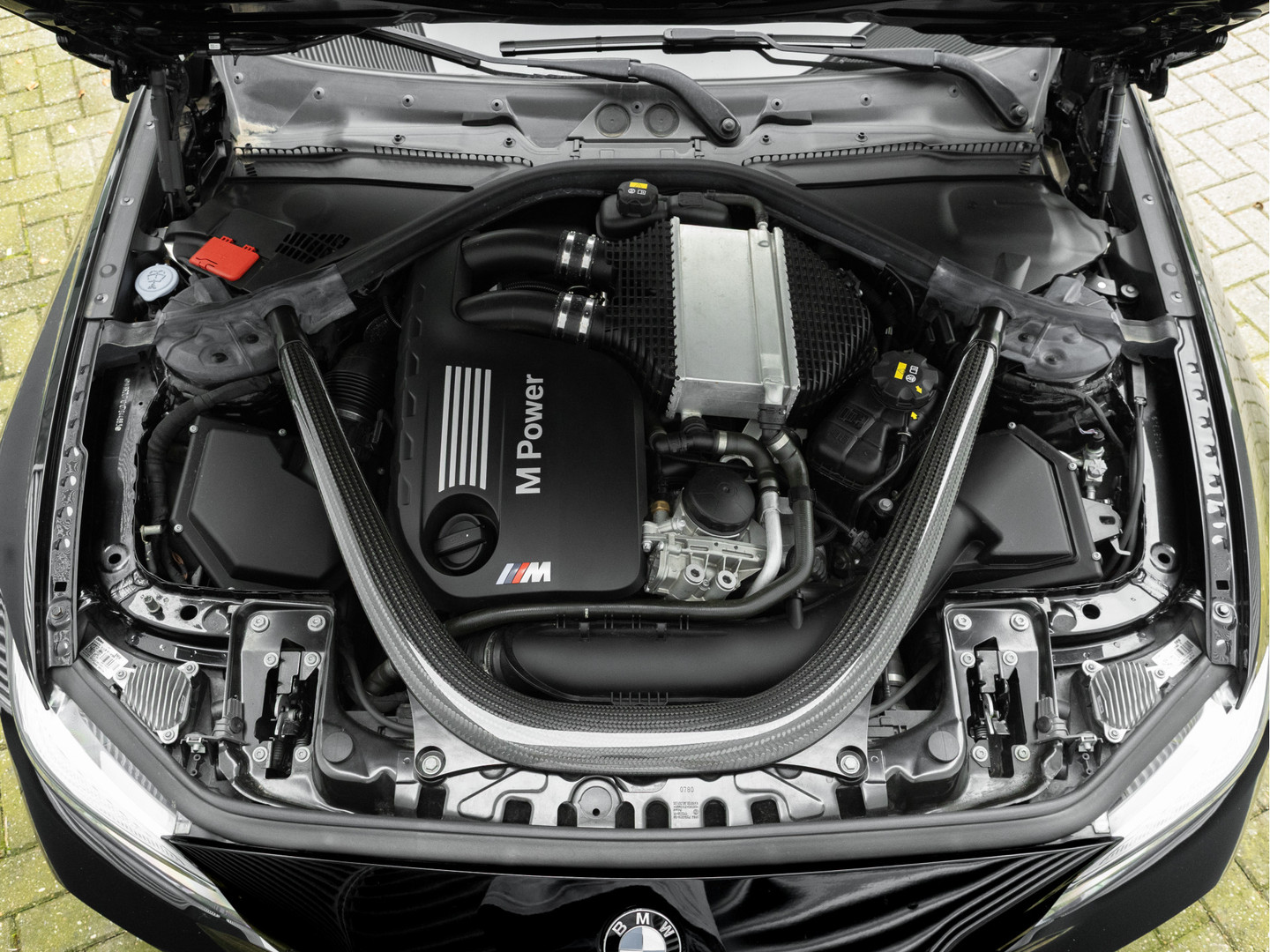 BMW BMW