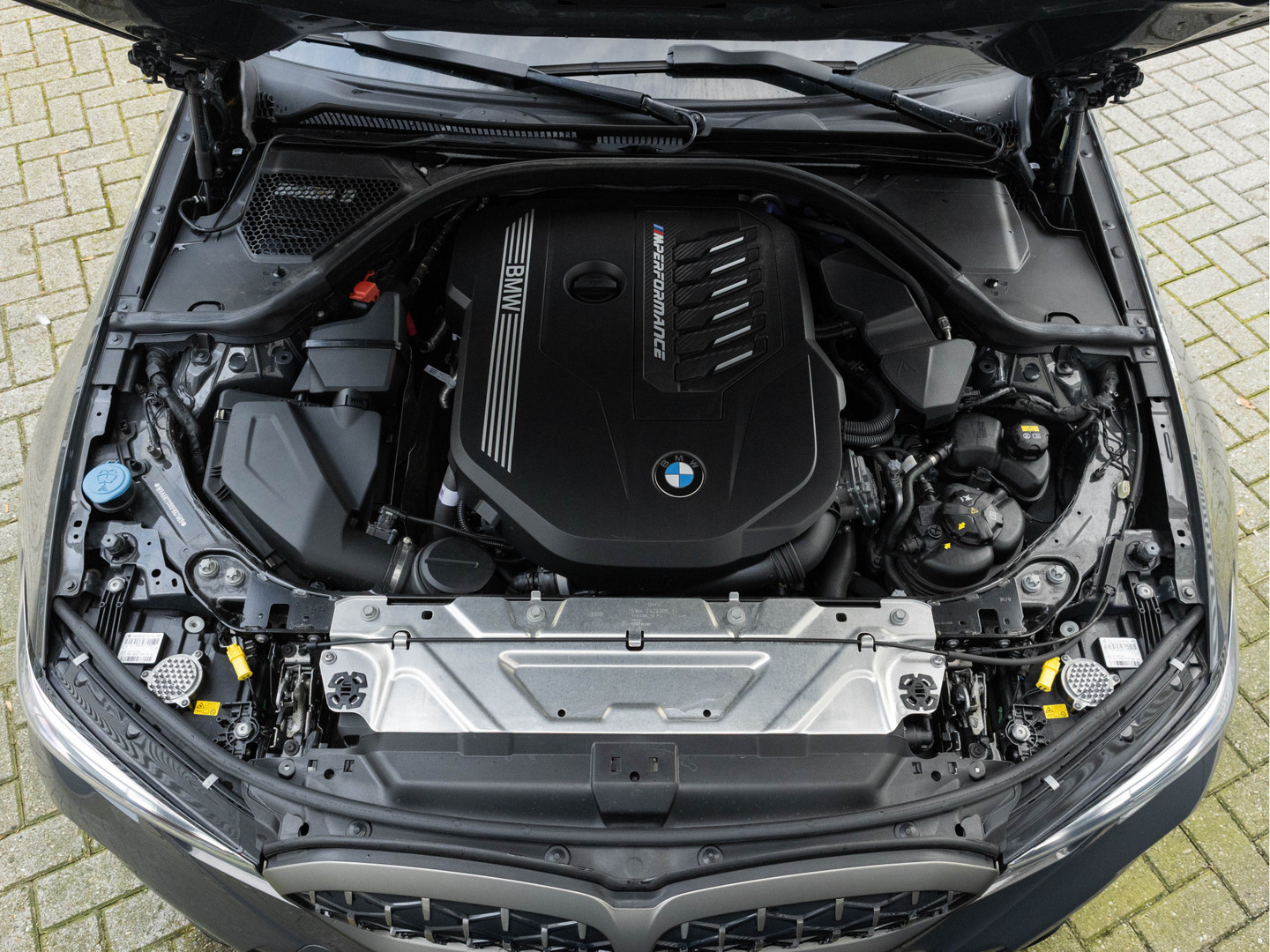 BMW BMW