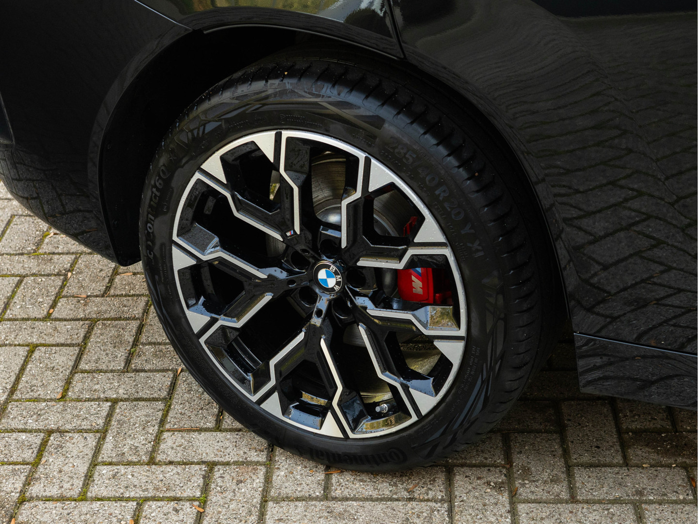 BMW BMW