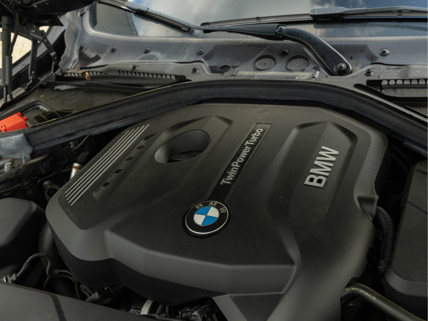 BMW BMW
