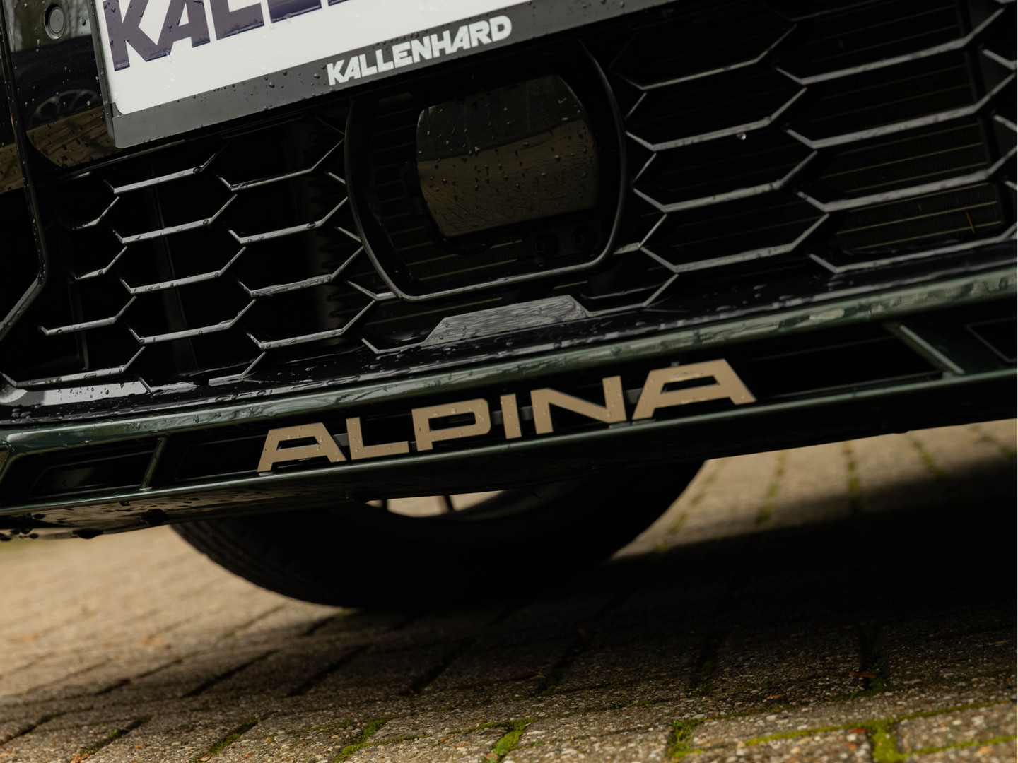 ALPINA