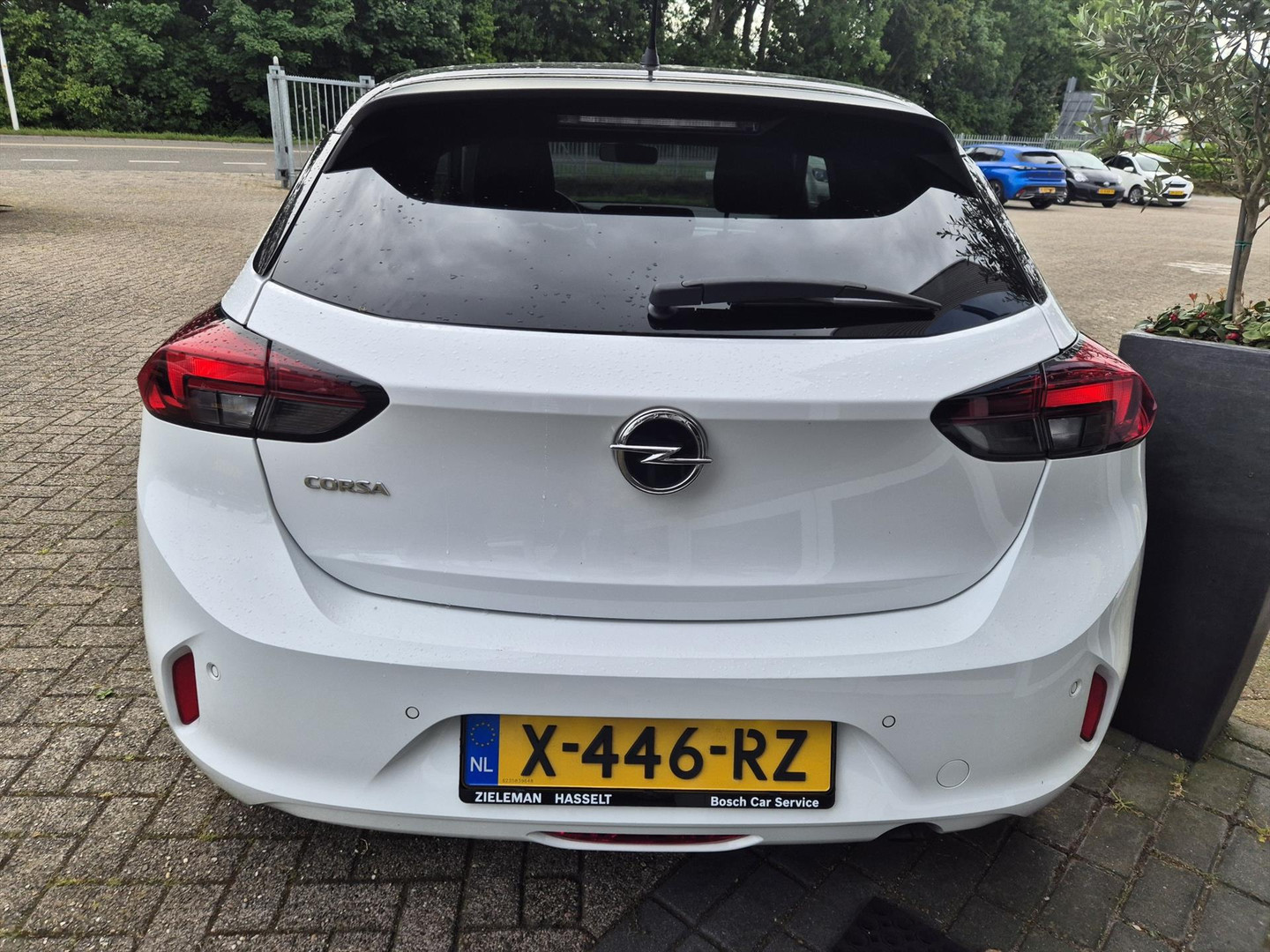 Opel