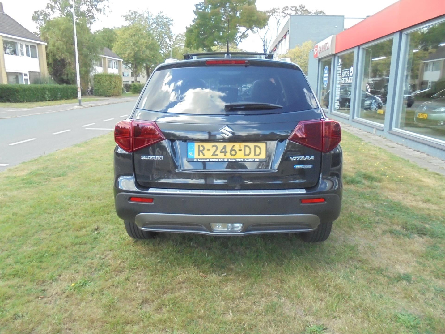 Suzuki
