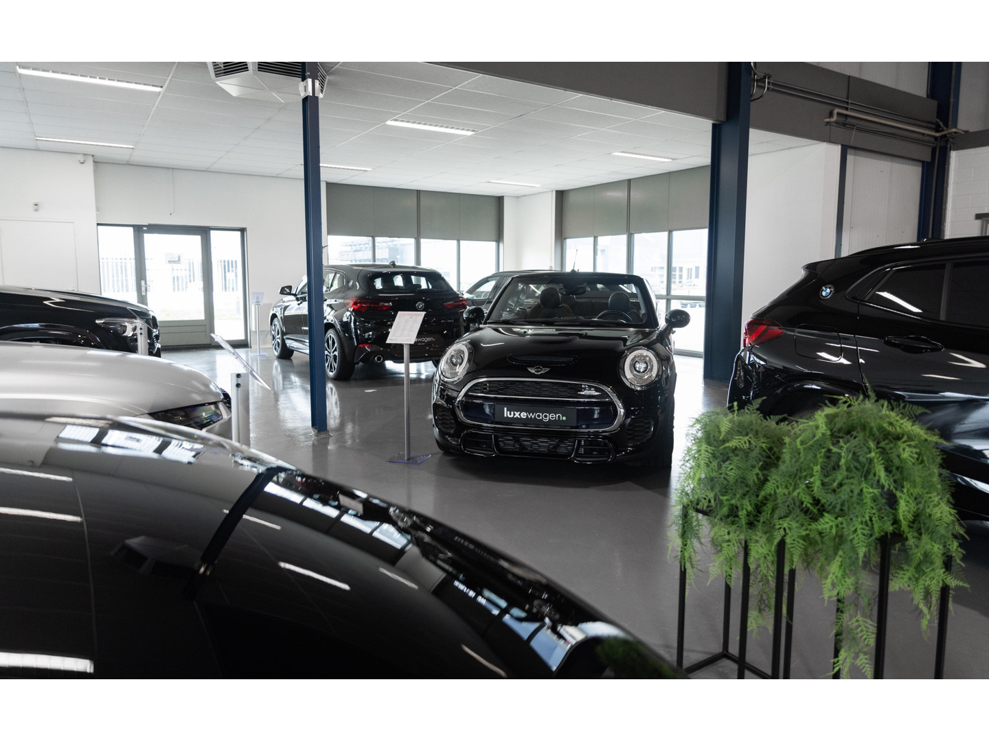 BMW BMW