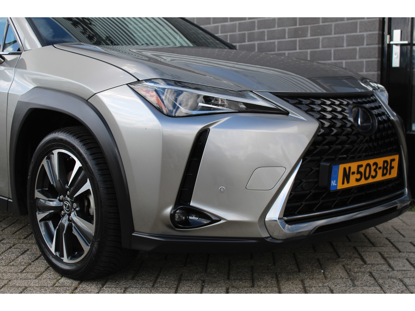Lexus Lexus