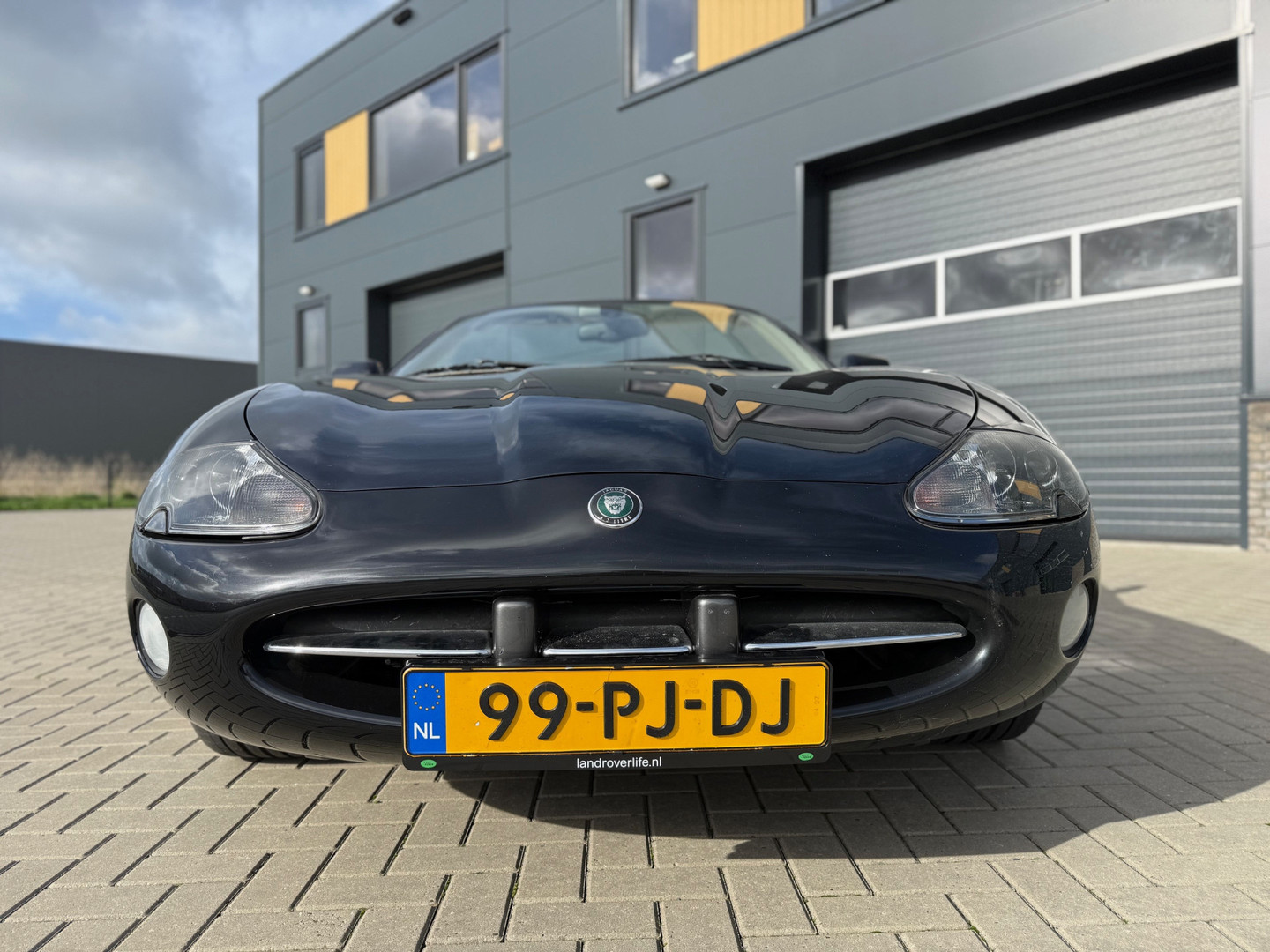 Jaguar