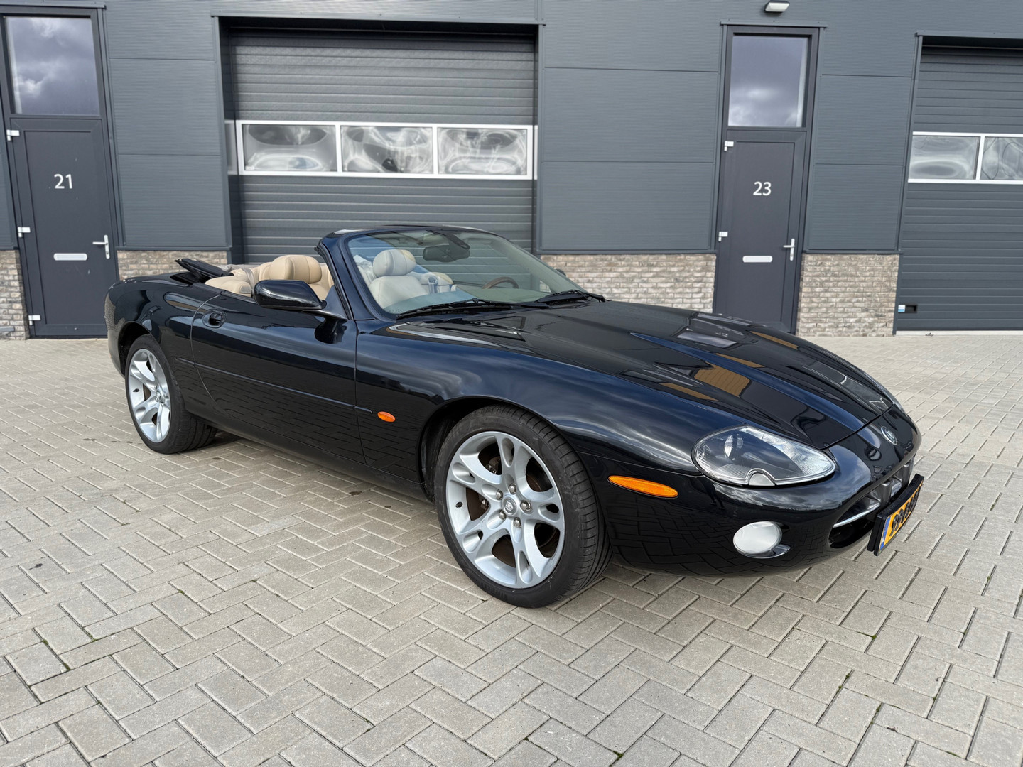 Jaguar