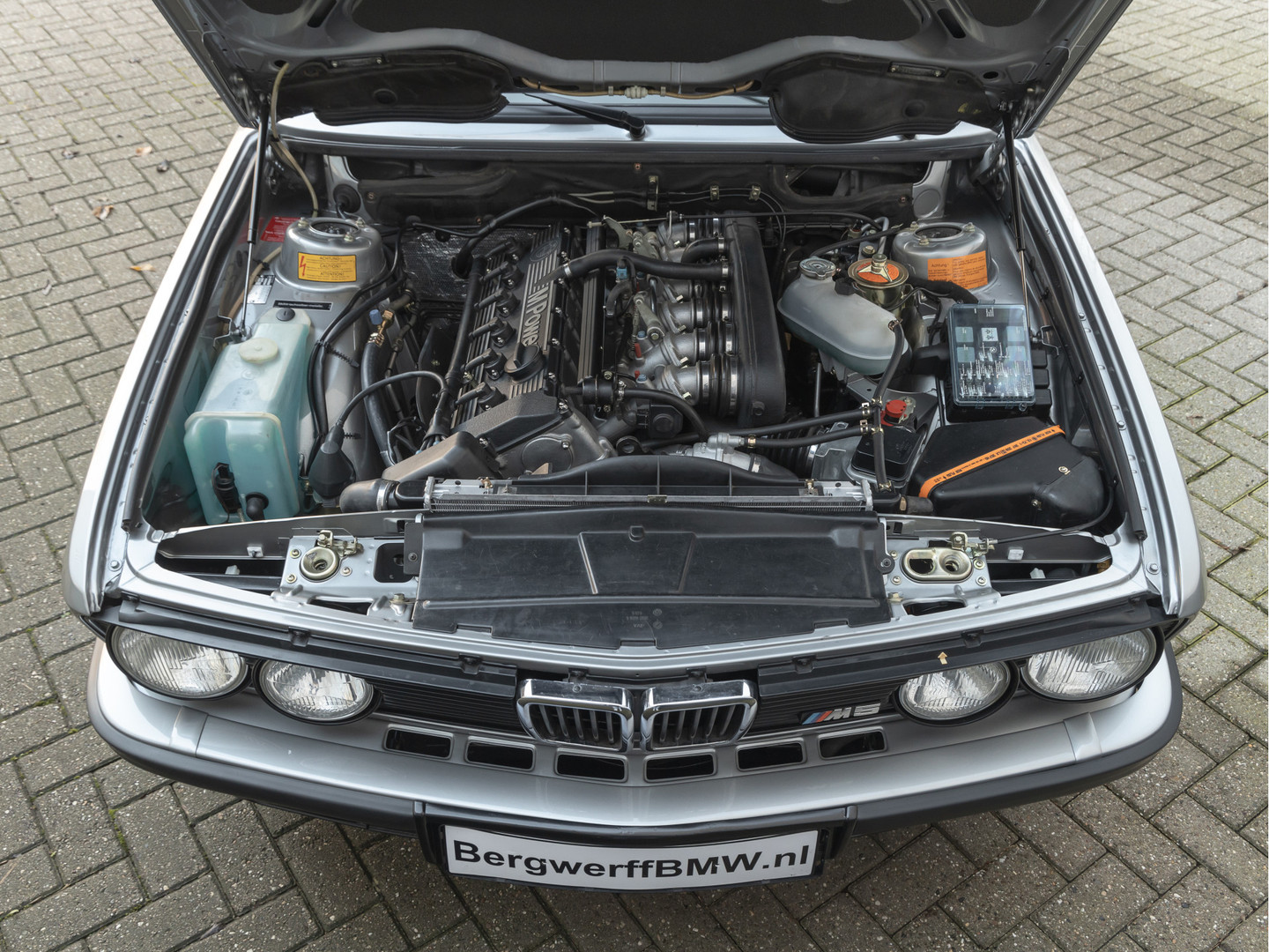 BMW BMW
