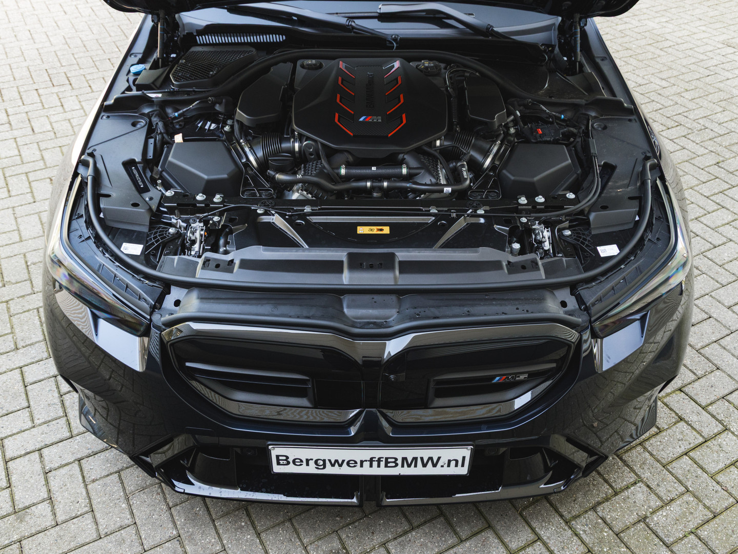 BMW BMW