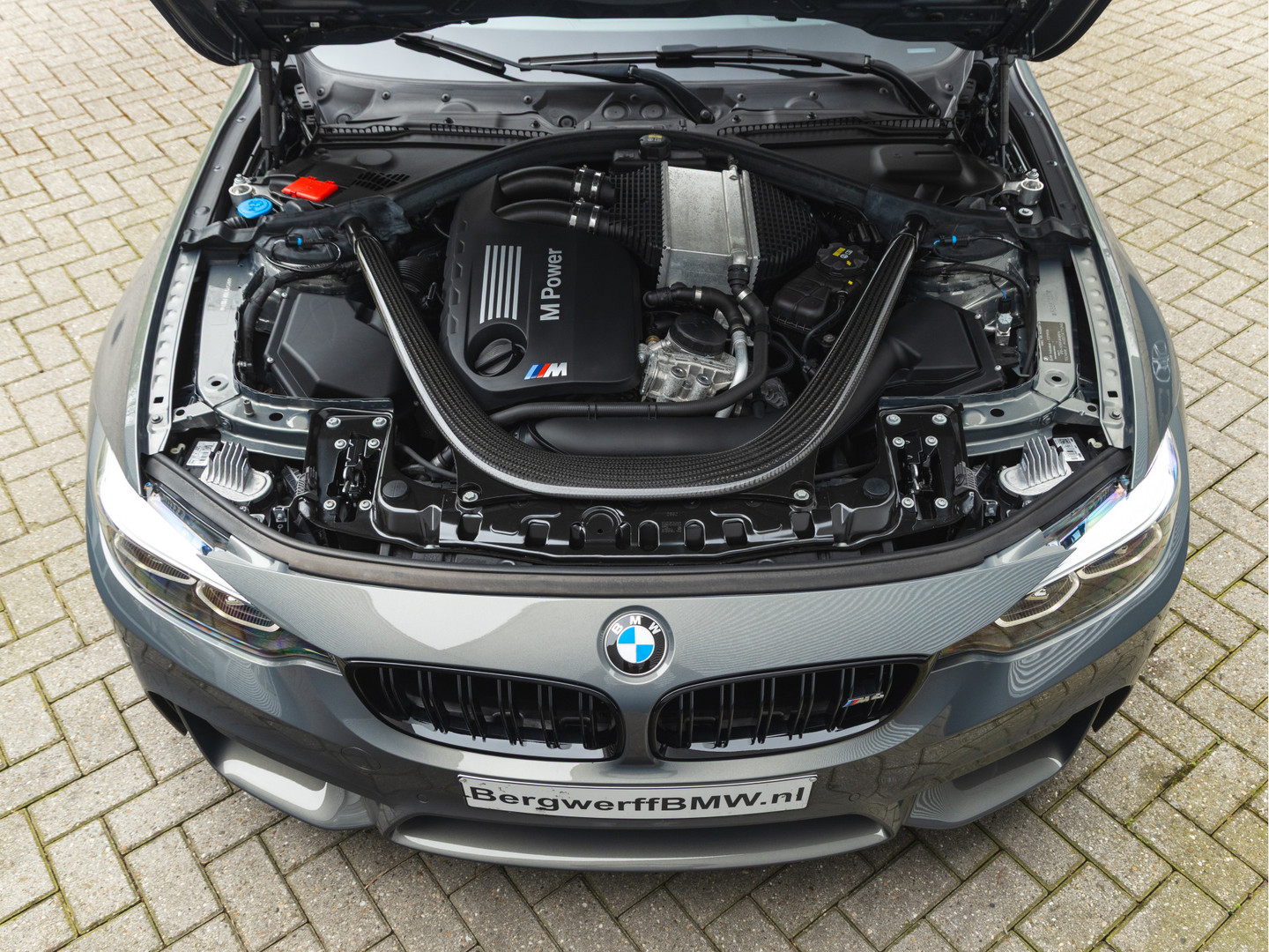 BMW BMW