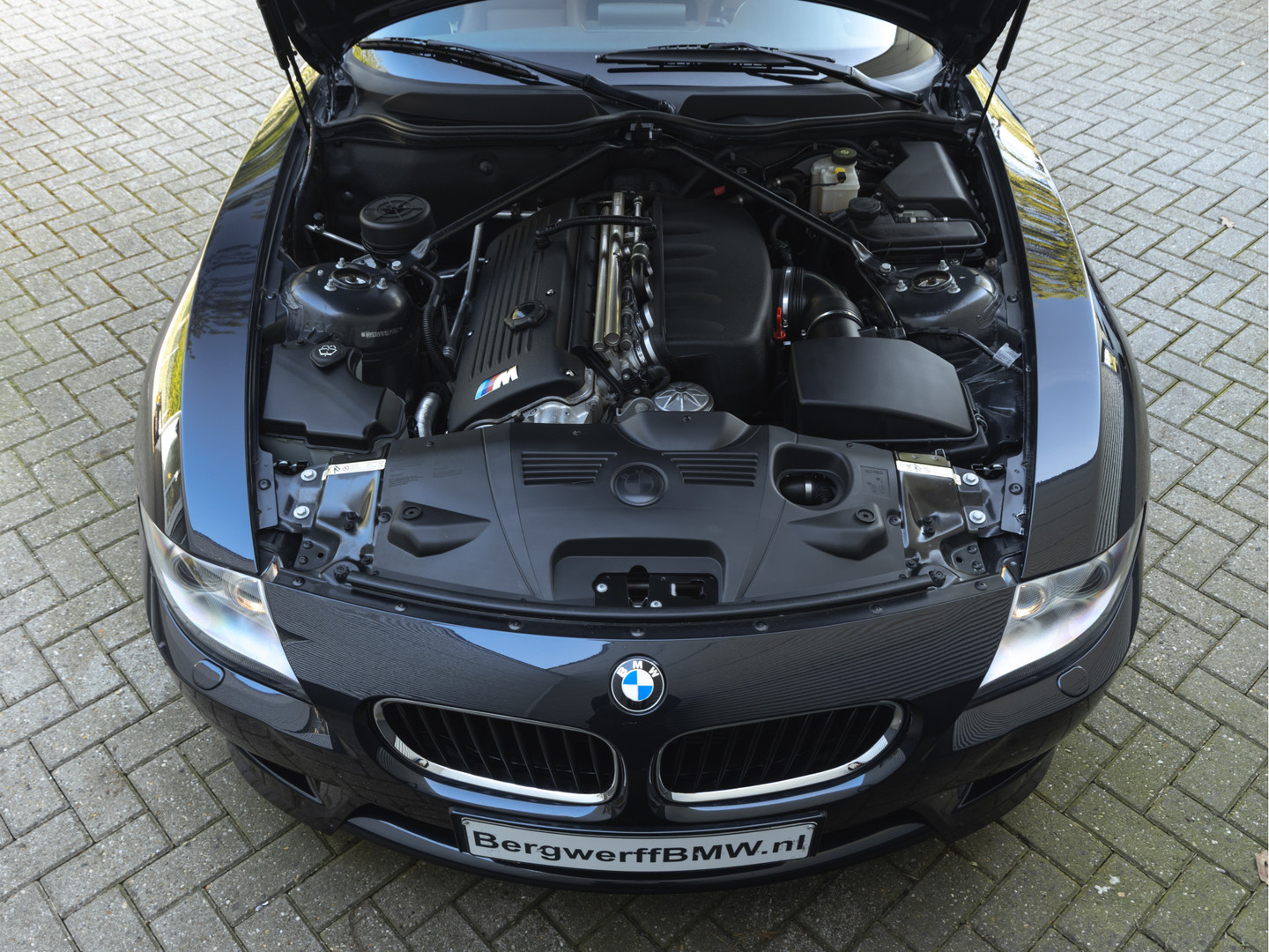 BMW BMW