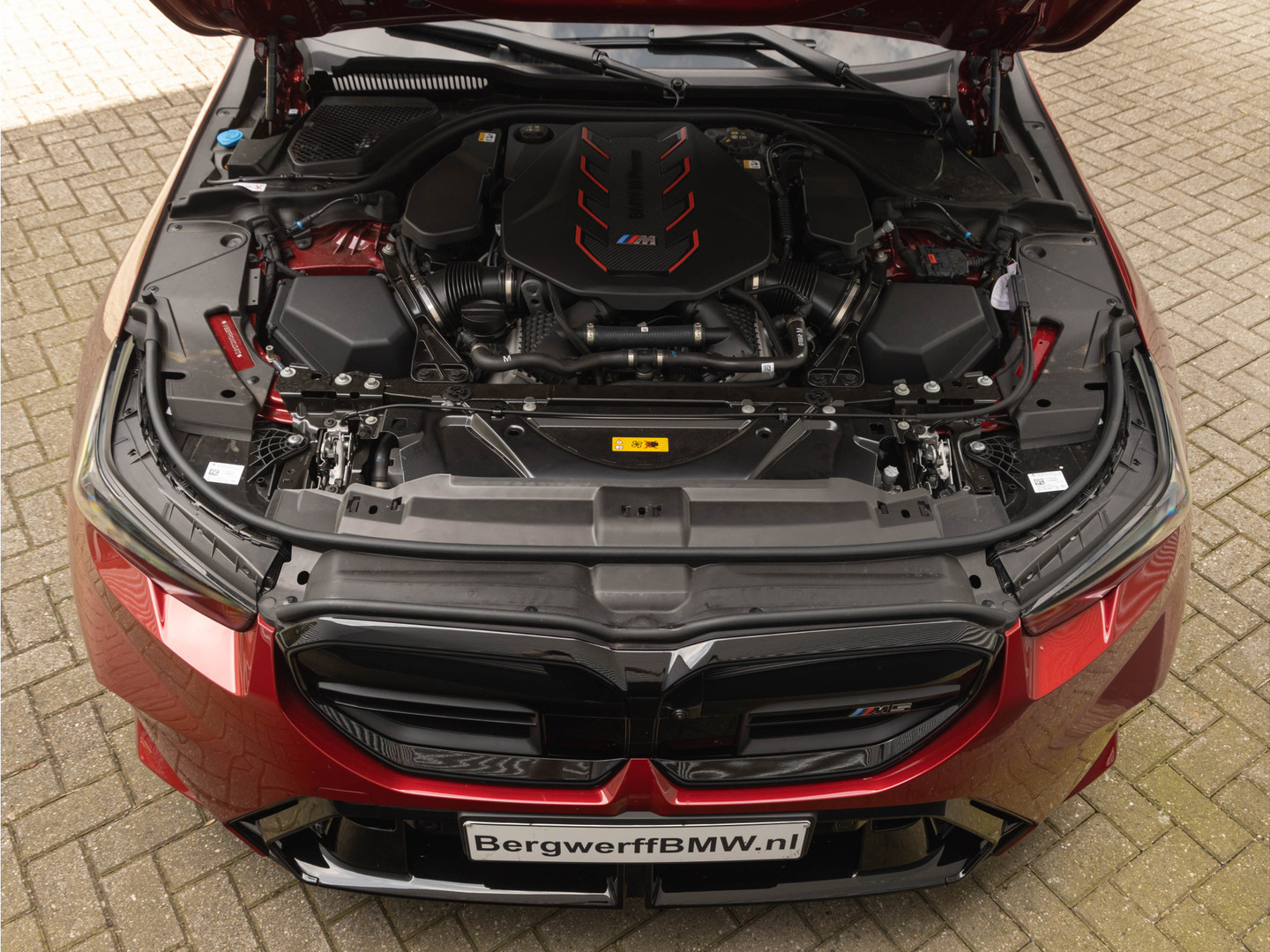 BMW BMW