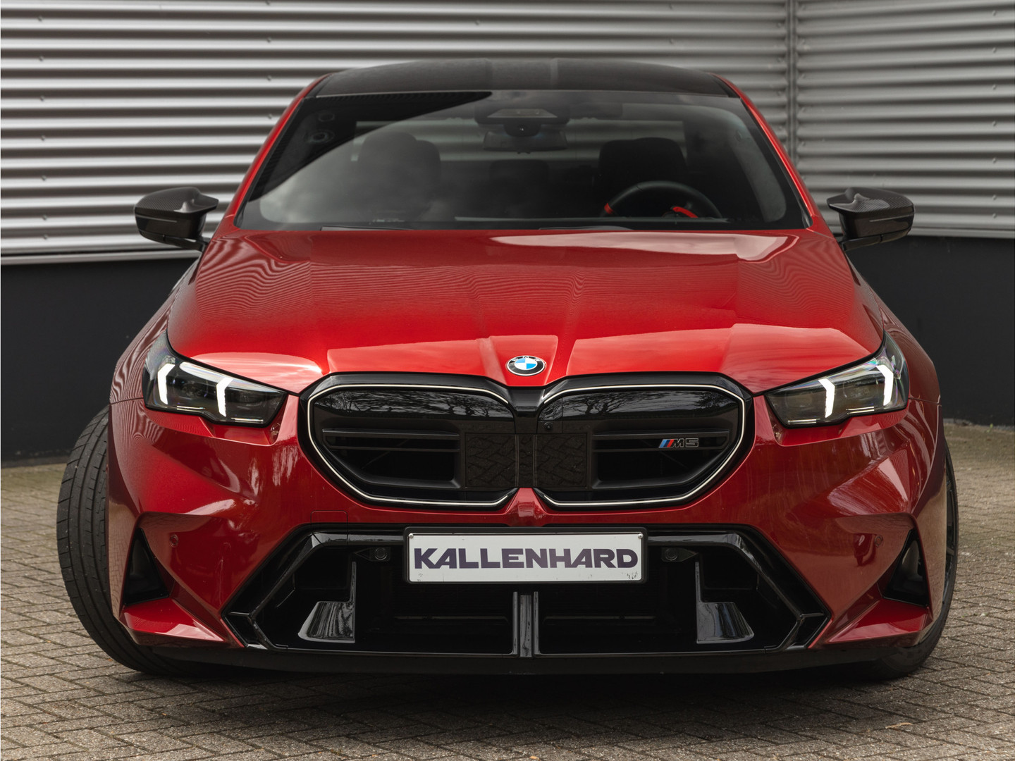 BMW BMW