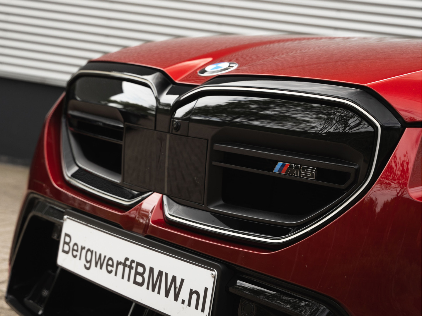 BMW BMW