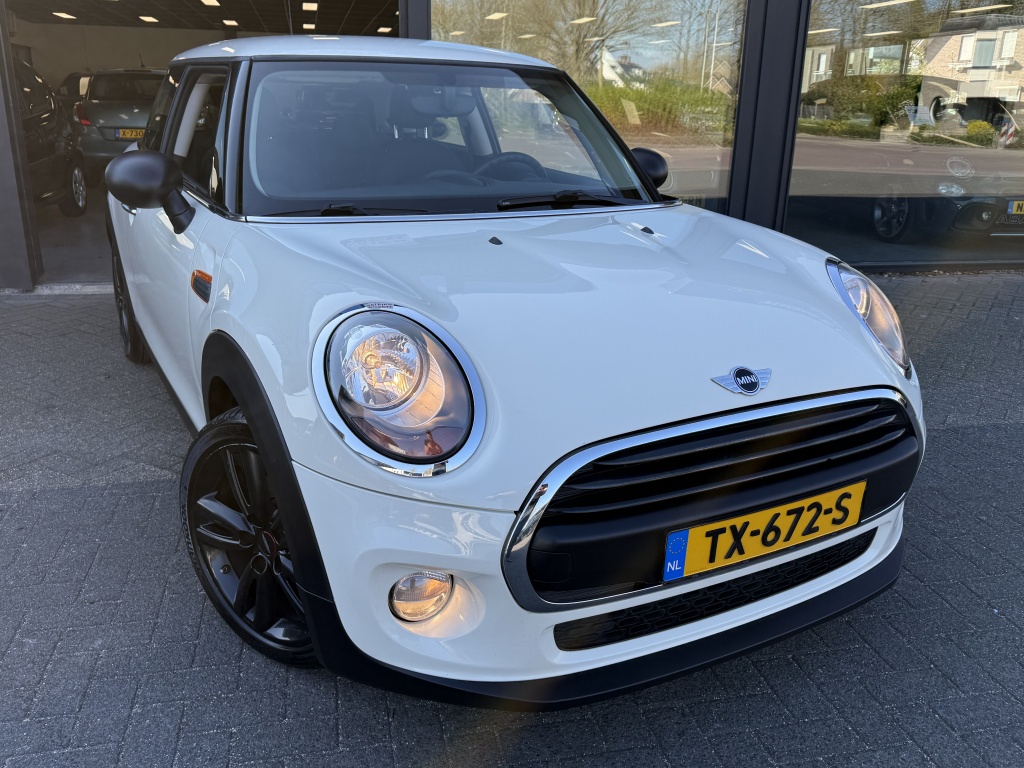 MINI MINI