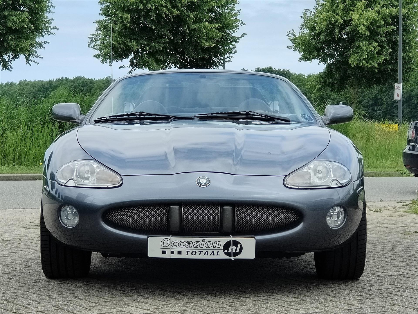 Jaguar
