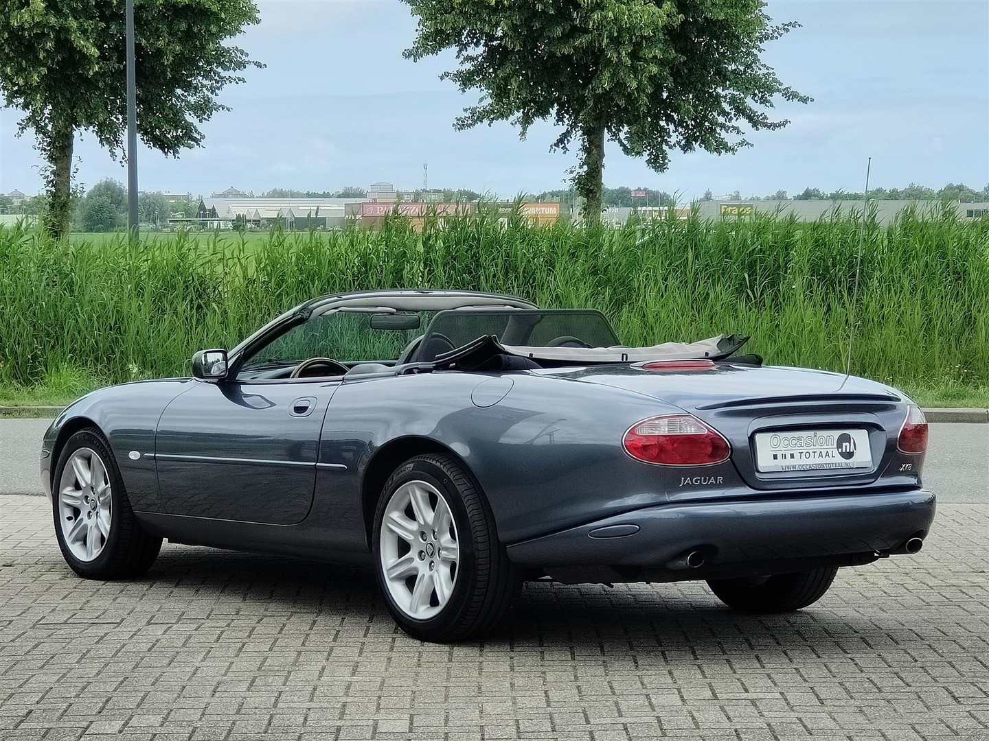 Jaguar