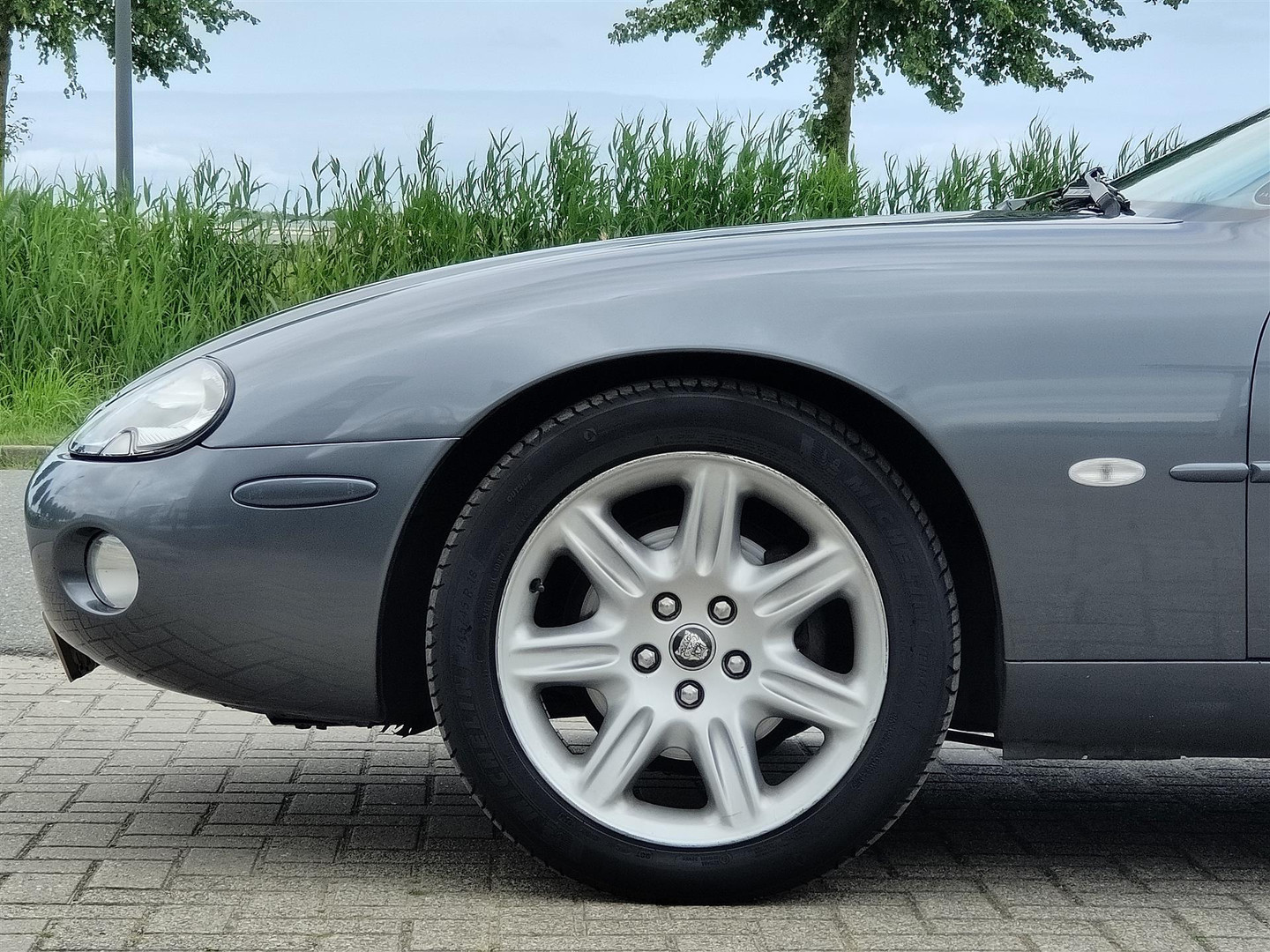 Jaguar