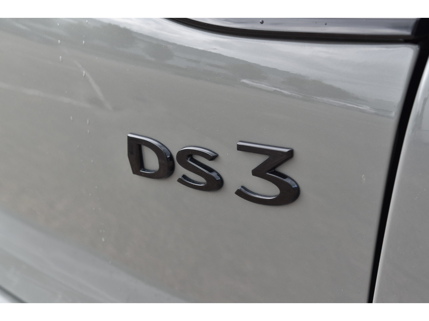 DS