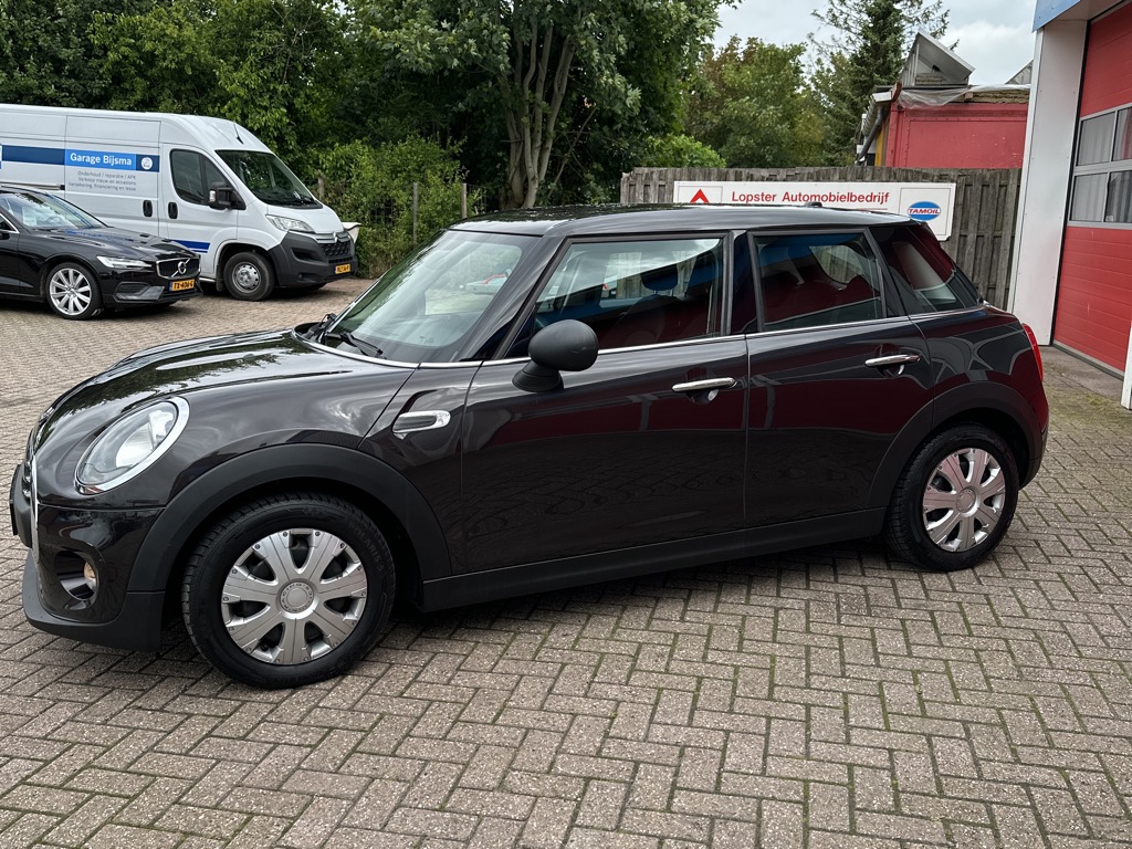 MINI MINI