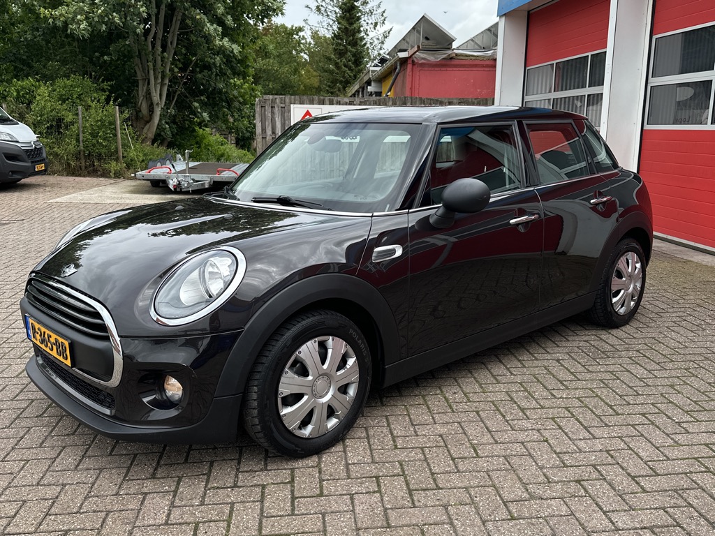 MINI MINI