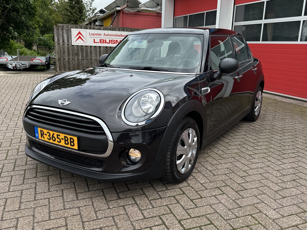 MINI MINI
