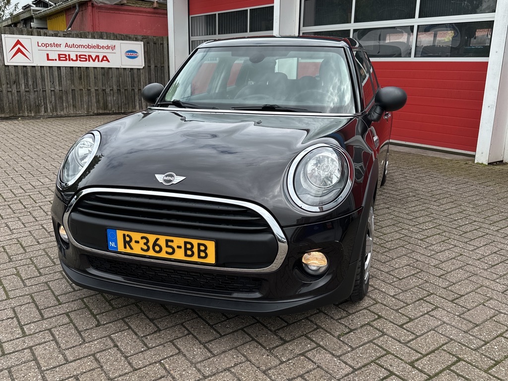 MINI MINI