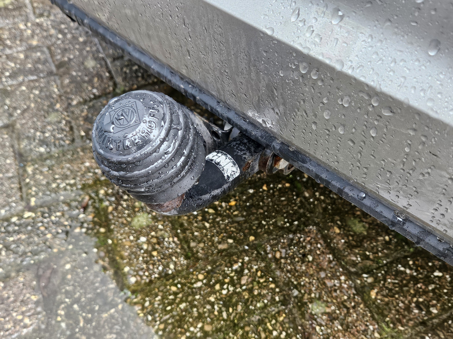 Volkswagen Volkswagen