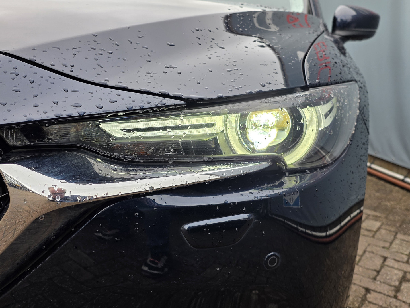 Mazda Mazda