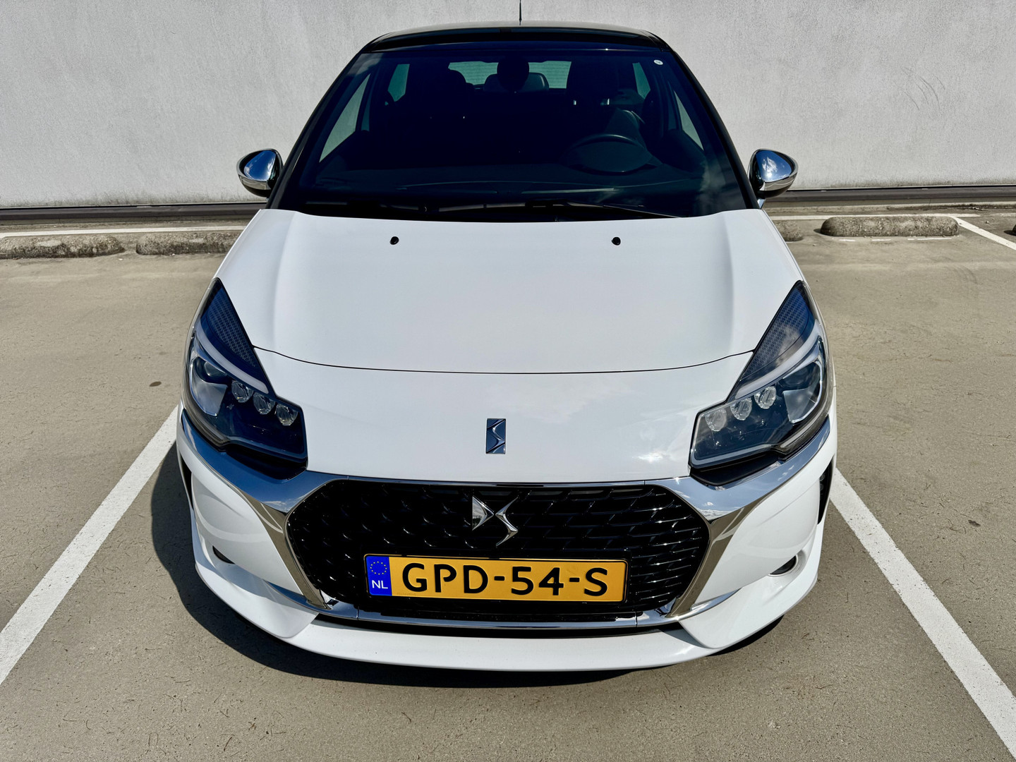 DS