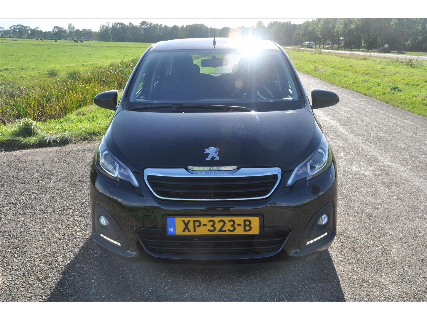 Peugeot