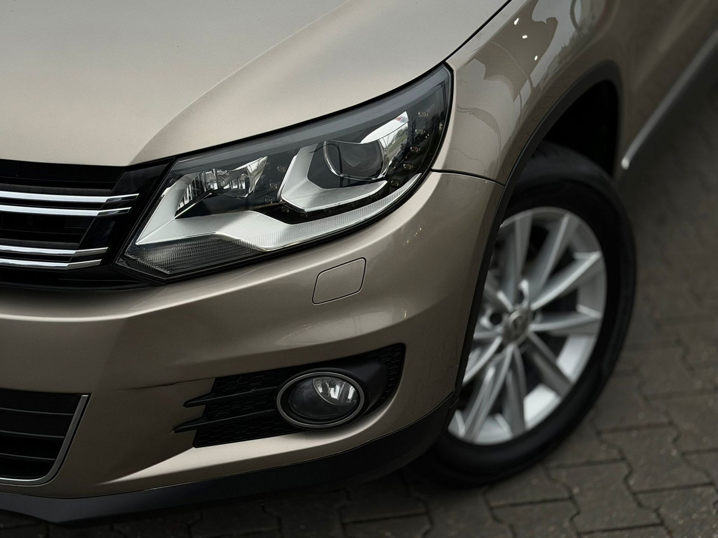 Volkswagen Volkswagen