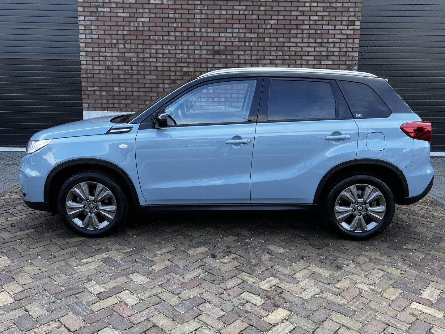 Suzuki Suzuki