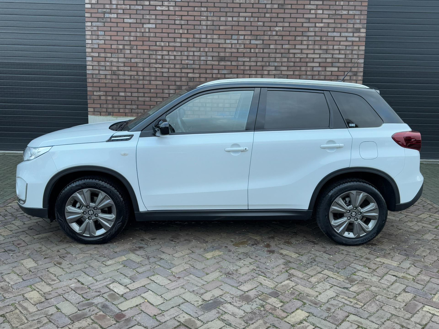 Suzuki Suzuki