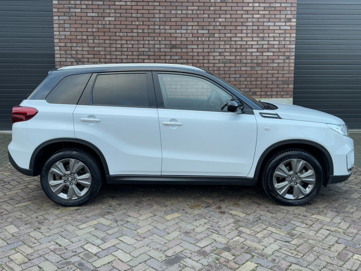 Suzuki Suzuki