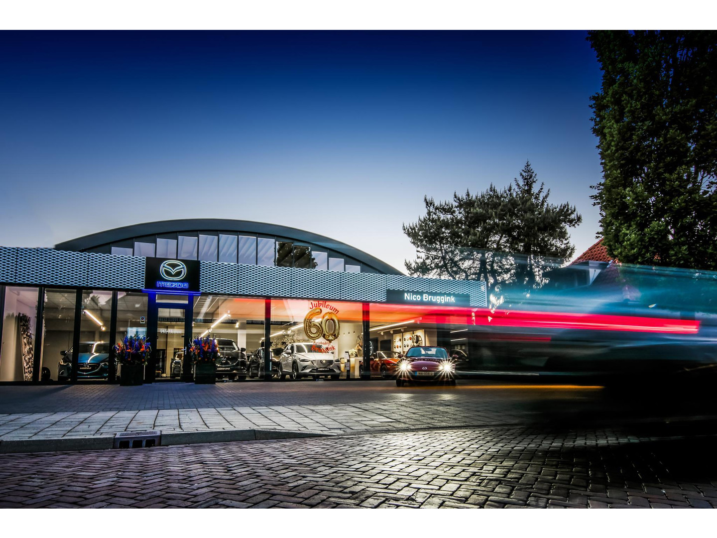 BMW BMW