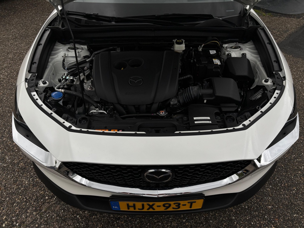 Mazda Mazda