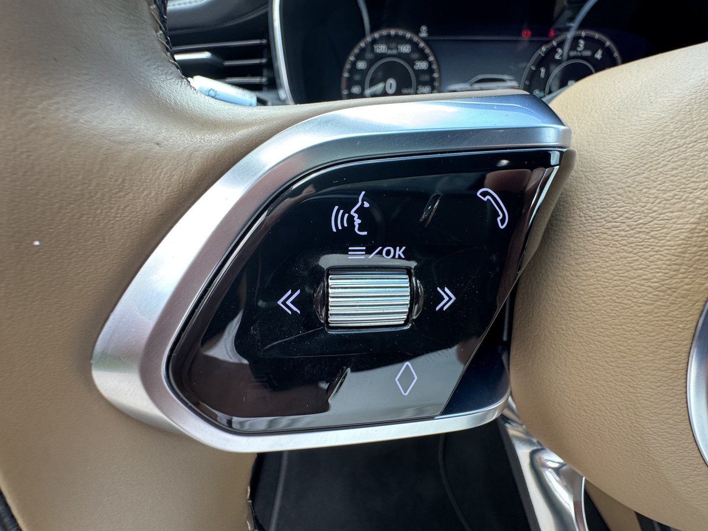 Jaguar Jaguar