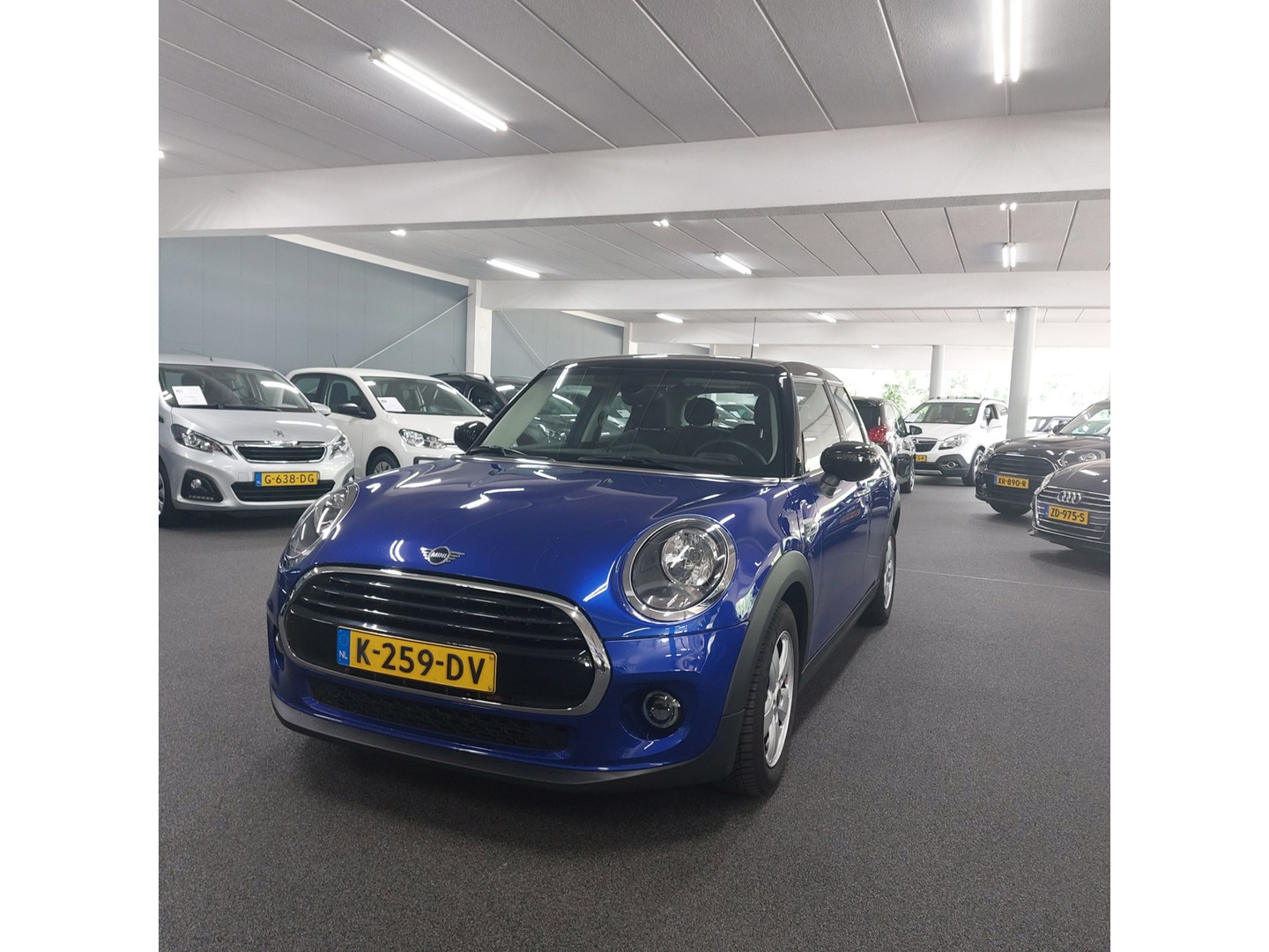 MINI