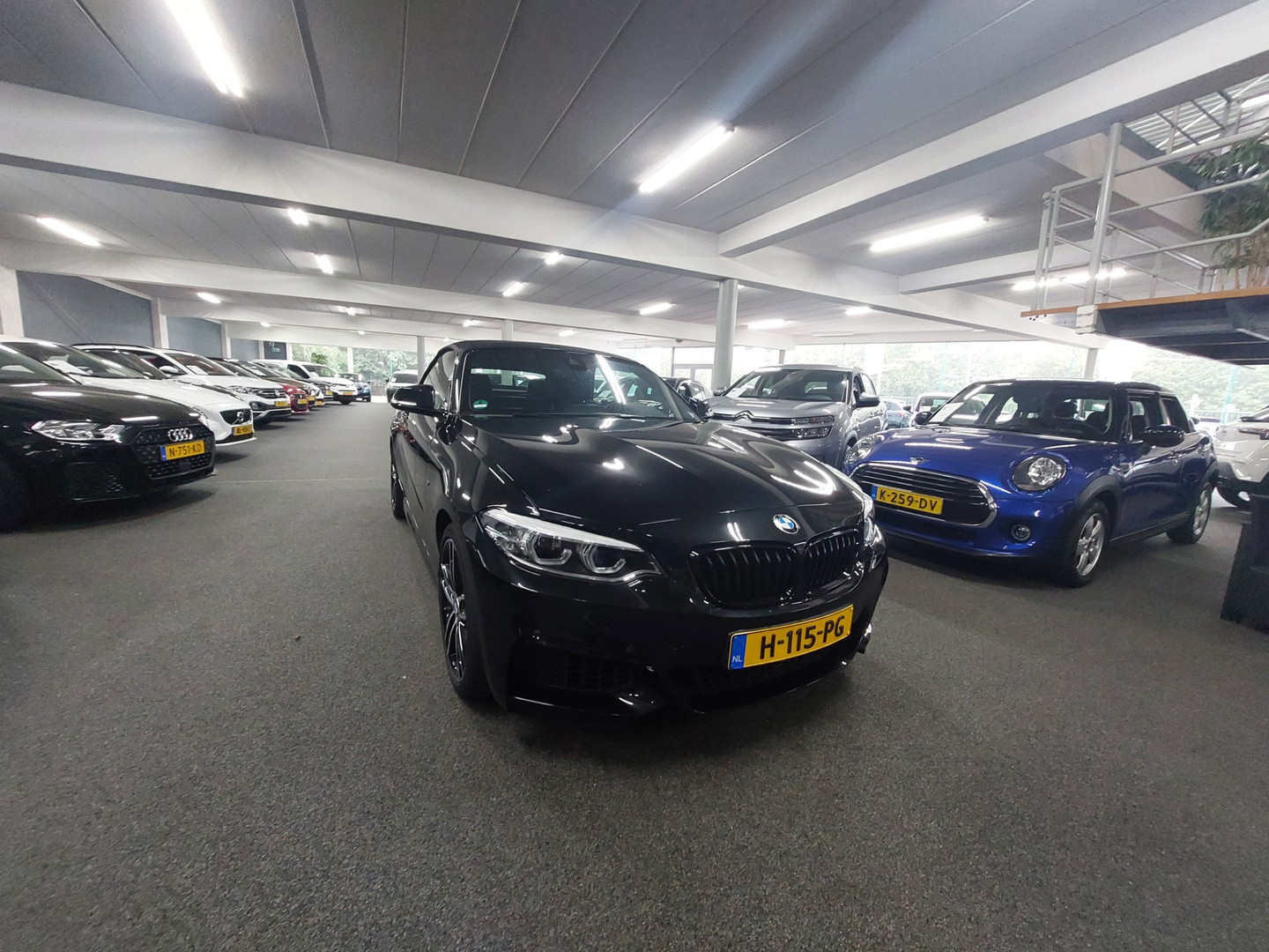 BMW BMW