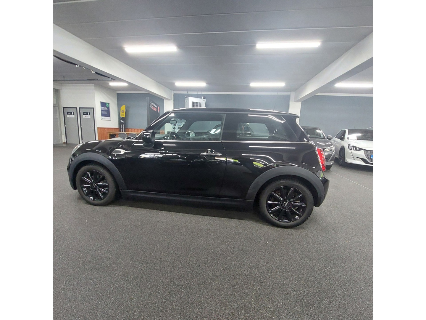 MINI MINI